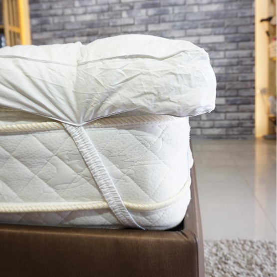 LEREEN Topper ขนห่านเทียม Economy Serie Poly LEREEN Topper ขนห่านเทียม Economy Serie Poly