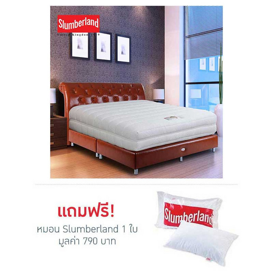 Slumberland ที่นอนพ็อกเก็ตสปริง รุ่น Ivory Seal Slumberland ที่นอนพ็อกเก็ตสปริง รุ่น Ivory Seal