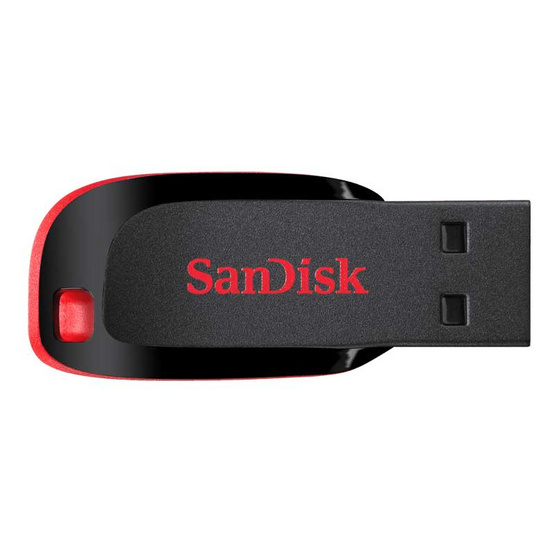 SanDisk USB 2.0 Flash Drive Cruzer Blade 32 GB SanDisk USB 2.0 Flash Drive Cruzer Blade 32 GB