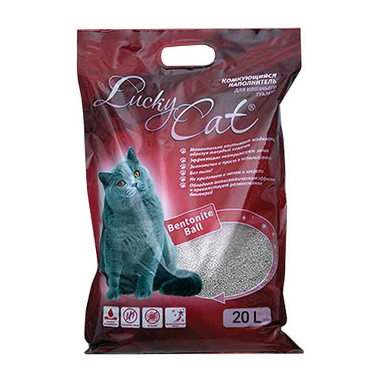 Lucky Cat ทรายแมว Lucky Cat ทรายแมว