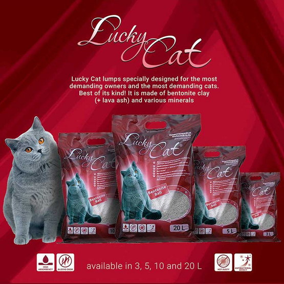 Lucky Cat ทรายแมว Lucky Cat ทรายแมว