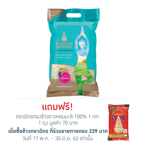 ข้าวตราฉัตรไลท์ กข43 5 กิโลกรัม ข้าวตราฉัตรไลท์ กข43 5 กิโลกรัม