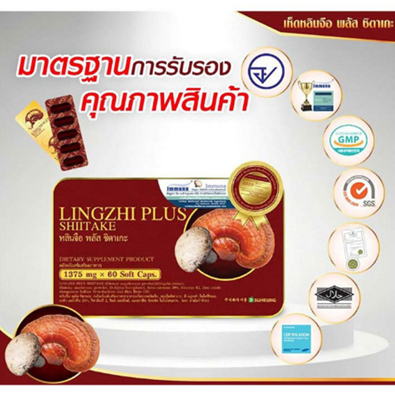 หลินจือพลัสชิตาเกะ 30 เม็ด 6 กล่อง แถมถั่งเช่าผสมมัลติวิตามินบี 30 แคป 2 กล่อง แถมหลินจือพลัสชิตาเกะ 5 เม็ด 2 ซอง แถมเครื่องวัดความดัน B02R หลินจือพลัสชิตาเกะ 30 เม็ด 6 กล่อง แถมถั่งเช่าผสมมัลติวิตามินบี 30 แคป 2 กล่อง แถมหลินจือพลัสชิตาเกะ 5 เม็ด 2 ซอง แถมเครื่องวัดความดัน B02R