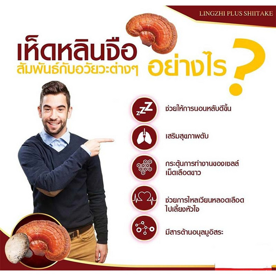 Donutt หลินจือพลัสชิตาเกะ 60 แคปซูล 6 กล่อง Donutt หลินจือพลัสชิตาเกะ 60 แคปซูล 6 กล่อง
