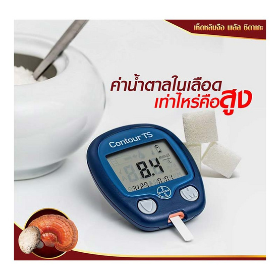Donutt หลินจือพลัสชิตาเกะ 60 แคปซูล 6 กล่อง Donutt หลินจือพลัสชิตาเกะ 60 แคปซูล 6 กล่อง