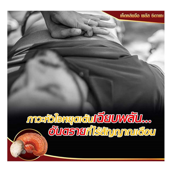 Donutt หลินจือพลัสชิตาเกะ 60 แคปซูล 6 กล่อง Donutt หลินจือพลัสชิตาเกะ 60 แคปซูล 6 กล่อง