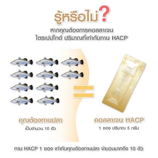 Donutt คอลลาเจนไตรเปปไทด์ HACP 15 ซอง 12 กล่อง Donutt คอลลาเจนไตรเปปไทด์ HACP 15 ซอง 12 กล่อง