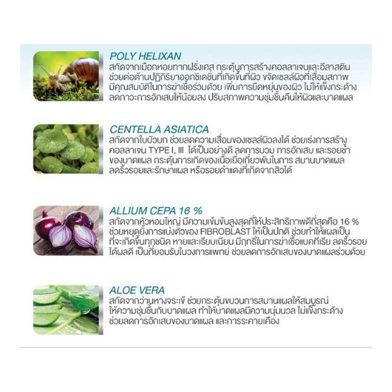 โซลเดอร์มาร์ สการ์เจล 8 กรัม โซลเดอร์มาร์ สการ์เจล 8 กรัม