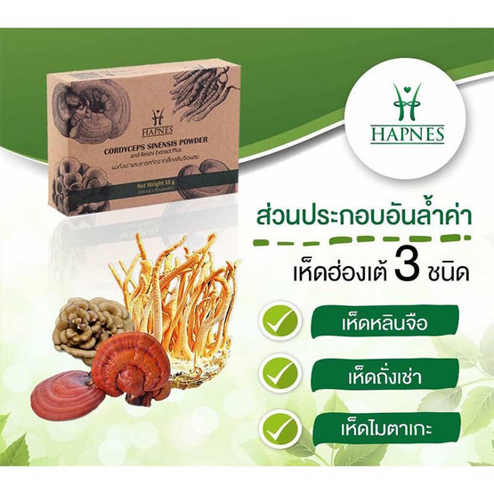 HAPNES ถั่งเช่าและสารสกัดเห็ดหลินจือผสม 108 แคปซูล 1 กล่อง ฟรี ตลับใส่ยา 1 ชิ้น HAPNES ถั่งเช่าและสารสกัดเห็ดหลินจือผสม 108 แคปซูล 1 กล่อง ฟรี ตลับใส่ยา 1 ชิ้น