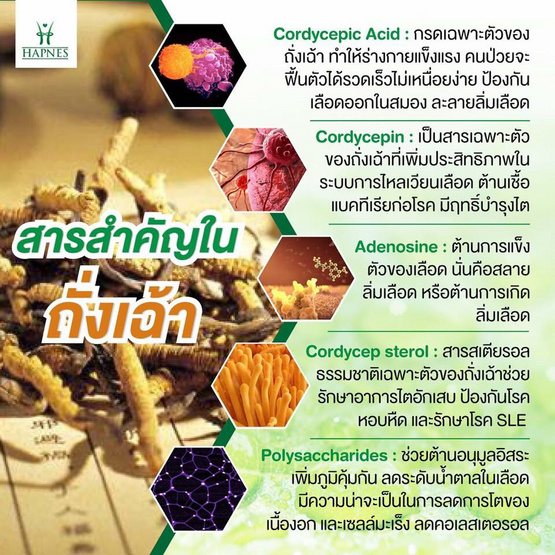 HAPNES ผลิตภัณฑ์บำรุง และ รักษา สุขภาพ สำหรับท่านชาย 30 แคปซูล 3 กล่อง ฟรี ตลับใส่ยา 1 ชิ้น HAPNES ผลิตภัณฑ์บำรุง และ รักษา สุขภาพ สำหรับท่านชาย 30 แคปซูล 3 กล่อง ฟรี ตลับใส่ยา 1 ชิ้น