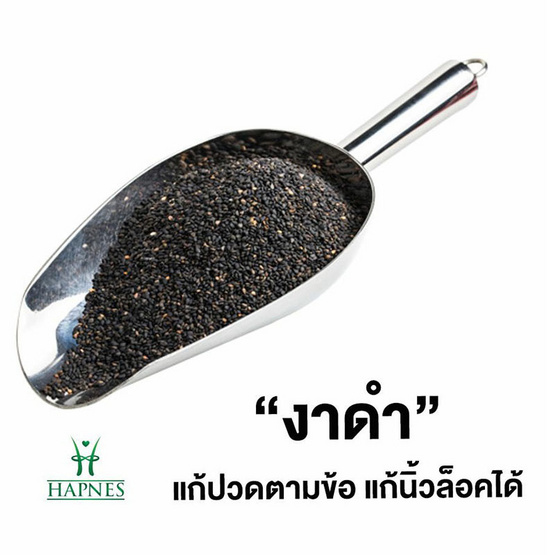 HAPNES น้ำมันงาสกัดเย็น น้ำมันงาดำสกัดเย็น น้ำมันงาม้อนสกัดเย็น 30 แคปซูล 3 กล่อง ฟรี ตลับใส่ยา 1 ชิ้น HAPNES น้ำมันงาสกัดเย็น น้ำมันงาดำสกัดเย็น น้ำมันงาม้อนสกัดเย็น 30 แคปซูล 3 กล่อง ฟรี ตลับใส่ยา 1 ชิ้น