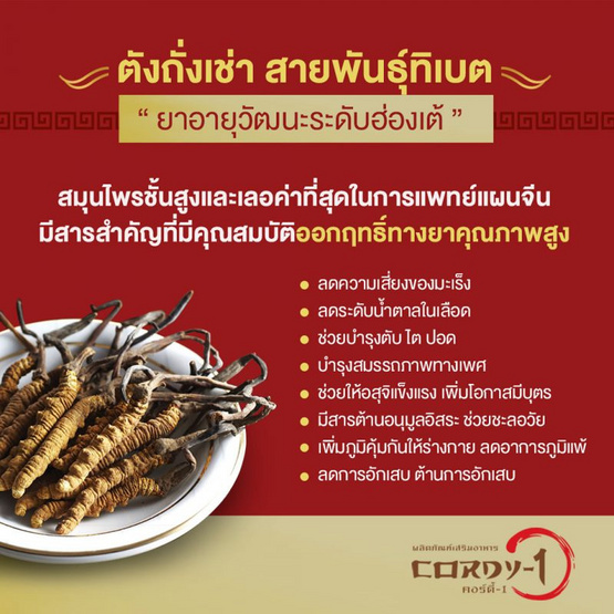 OMG CORDY-1 ถั่งเช่า คอร์ดี้วัน 60 แคปซูล แพ็ค3 กล่อง OMG CORDY-1 ถั่งเช่า คอร์ดี้วัน 60 แคปซูล แพ็ค3 กล่อง
