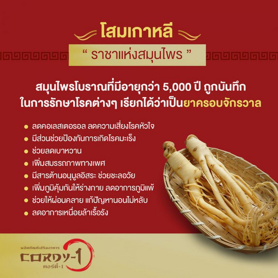 OMG CORDY-1 ถั่งเช่า คอร์ดี้วัน 60 แคปซูล แพ็ค3 กล่อง OMG CORDY-1 ถั่งเช่า คอร์ดี้วัน 60 แคปซูล แพ็ค3 กล่อง