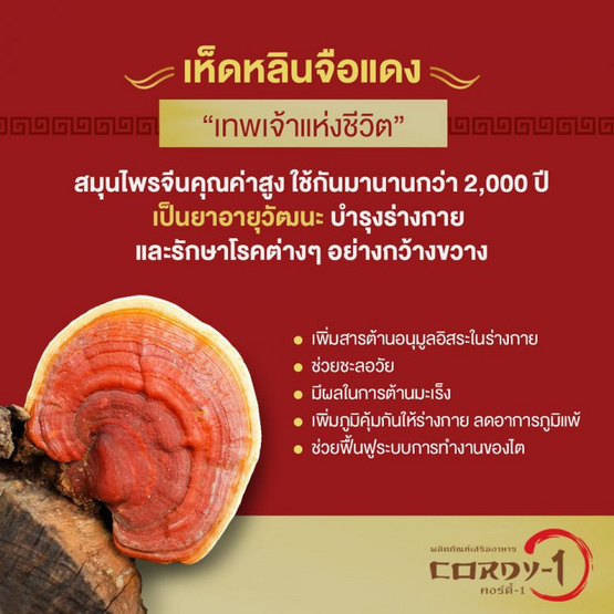 OMG CORDY-1 ถั่งเช่า คอร์ดี้วัน 60 แคปซูล แพ็ค3 กล่อง OMG CORDY-1 ถั่งเช่า คอร์ดี้วัน 60 แคปซูล แพ็ค3 กล่อง