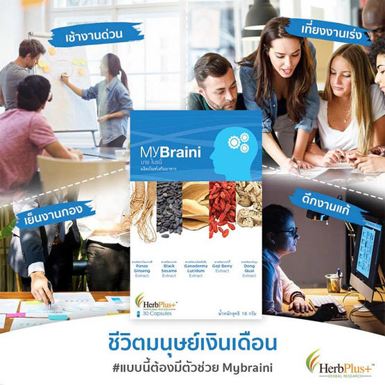 Herb Plus MyBraini ( มาย ไบรนี่ ชุด) แพ็ค 3 กล่อง Herb Plus MyBraini ( มาย ไบรนี่ ชุด) แพ็ค 3 กล่อง