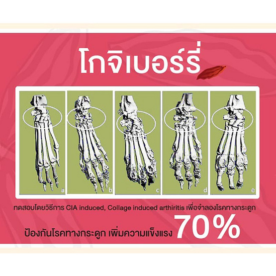 Herb Plus Lekcapp Gold (เลคแคปป์ โกล) แพ็ค 2 กล่อง Herb Plus Lekcapp Gold (เลคแคปป์ โกล) แพ็ค 2 กล่อง