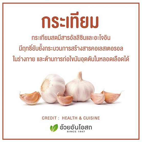 การ์ลิค (กระเทียมสกัด) 100 แคปซูล การ์ลิค (กระเทียมสกัด) 100 แคปซูล