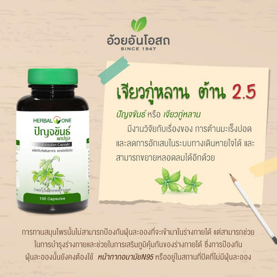 ปัญจขันธ์ 100 แคปซูล 60 แคปซูล ปัญจขันธ์ 100 แคปซูล 60 แคปซูล