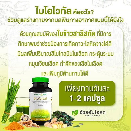 ไบโอไวทัล (สารสกัดจากใบข้าวสาลี,สไปรูไลน่า และสมุนไพรอื่นๆ) 60 แคปซูล ไบโอไวทัล (สารสกัดจากใบข้าวสาลี,สไปรูไลน่า และสมุนไพรอื่นๆ) 60 แคปซูล
