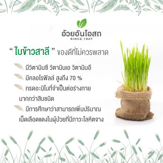 ไบโอไวทัล (สารสกัดจากใบข้าวสาลี,สไปรูไลน่า และสมุนไพรอื่นๆ) 60 แคปซูล ไบโอไวทัล (สารสกัดจากใบข้าวสาลี,สไปรูไลน่า และสมุนไพรอื่นๆ) 60 แคปซูล