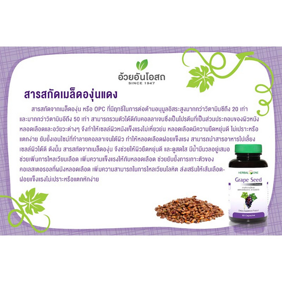 เกรพซีด (สารสกัดจากเมล็ดองุ่น) 60 แคปซูล เกรพซีด (สารสกัดจากเมล็ดองุ่น) 60 แคปซูล