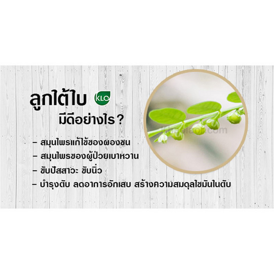 ขาวละออ ยาเม็ดลูกใต้ใบ 100 เม็ด ขาวละออ ยาเม็ดลูกใต้ใบ 100 เม็ด