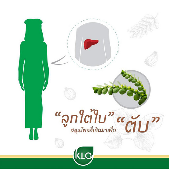 ขาวละออ ยาเม็ดลูกใต้ใบ 100 เม็ด ขาวละออ ยาเม็ดลูกใต้ใบ 100 เม็ด