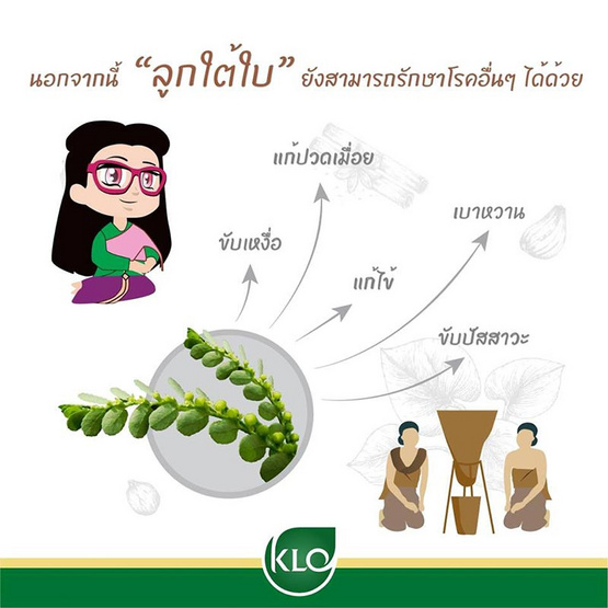 ขาวละออ ยาเม็ดลูกใต้ใบ 100 เม็ด ขาวละออ ยาเม็ดลูกใต้ใบ 100 เม็ด