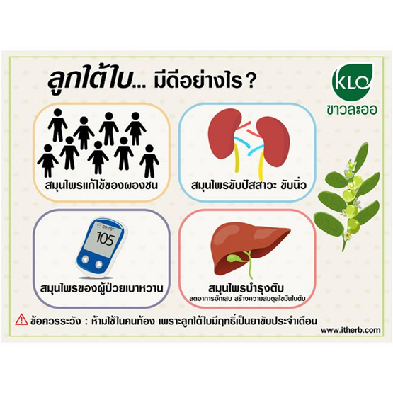 ขาวละออ ยาเม็ดลูกใต้ใบ 100 เม็ด ขาวละออ ยาเม็ดลูกใต้ใบ 100 เม็ด