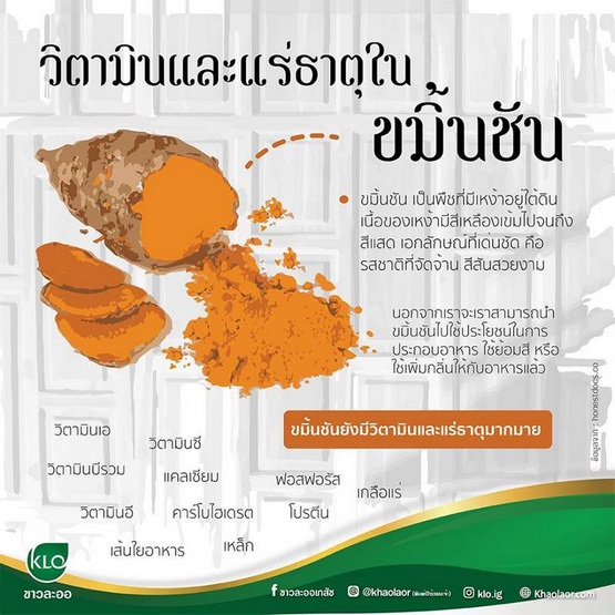 ขาวละออ ยาขมิ้นชันชนิดเม็ด ตราดอกว่าน 100 เม็ด ขาวละออ ยาขมิ้นชันชนิดเม็ด ตราดอกว่าน 100 เม็ด
