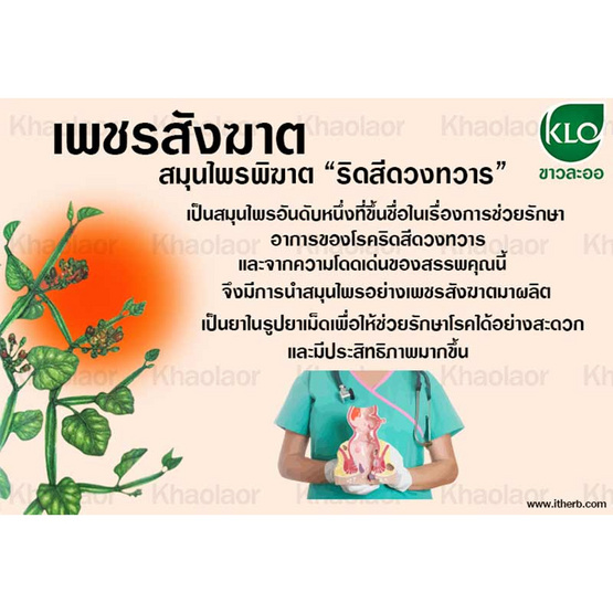 ขาวละออ ยาเม็ดเพชรสังฆาต ตราดอกว่าน 100 เม็ด ขาวละออ ยาเม็ดเพชรสังฆาต ตราดอกว่าน 100 เม็ด