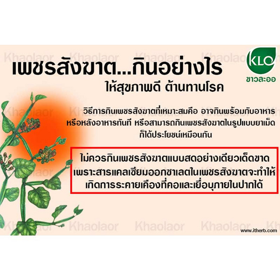 ขาวละออ ยาเม็ดเพชรสังฆาต ตราดอกว่าน 100 เม็ด ขาวละออ ยาเม็ดเพชรสังฆาต ตราดอกว่าน 100 เม็ด