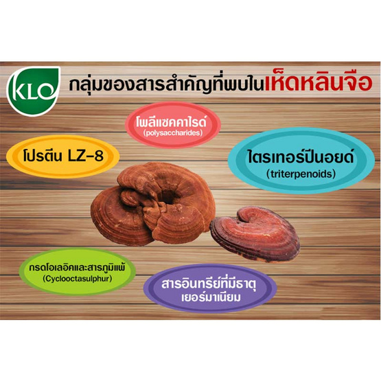 ขาวละออ ยาเห็ดหลินจือสกัด ชนิดเม็ดเคลือบ 60 เม็ด ขาวละออ ยาเห็ดหลินจือสกัด ชนิดเม็ดเคลือบ 60 เม็ด