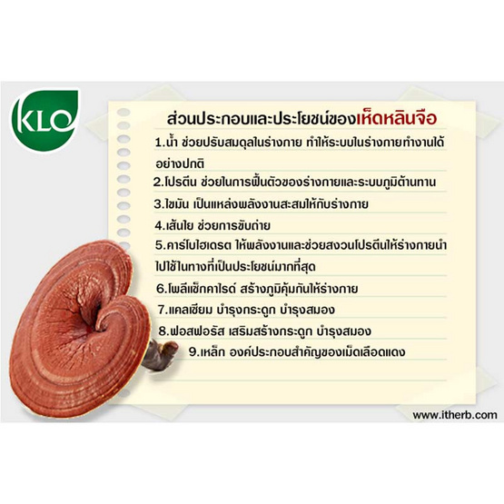 ขาวละออ ยาเห็ดหลินจือสกัด ชนิดเม็ดเคลือบ 60 เม็ด ขาวละออ ยาเห็ดหลินจือสกัด ชนิดเม็ดเคลือบ 60 เม็ด