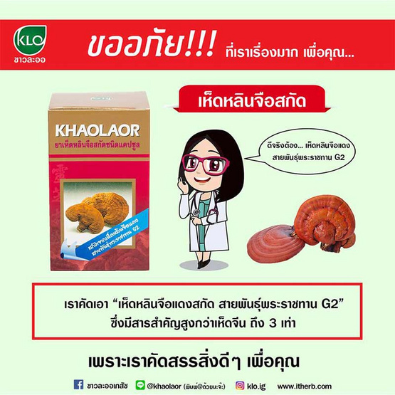 ขาวละออ ยาเห็ดหลินจือสกัด ชนิดแคปซูล 60 แคปซูล ขาวละออ ยาเห็ดหลินจือสกัด ชนิดแคปซูล 60 แคปซูล