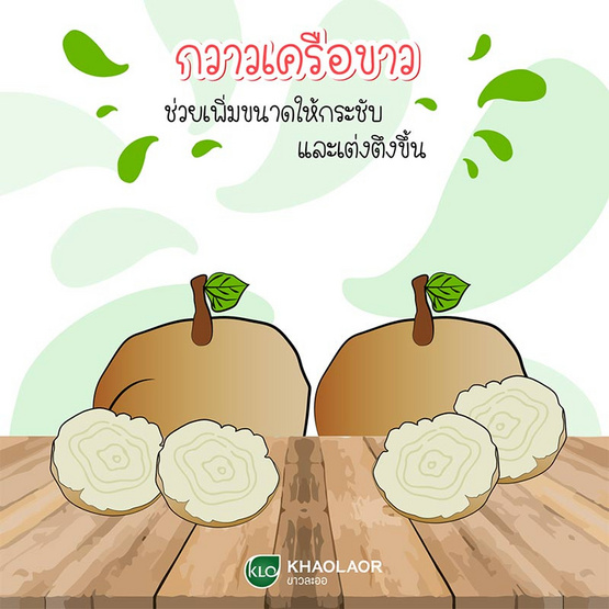 ขาวละออ ยาฟิอองเซ กวาวเครือขาว 100 เม็ด ขาวละออ ยาฟิอองเซ กวาวเครือขาว 100 เม็ด