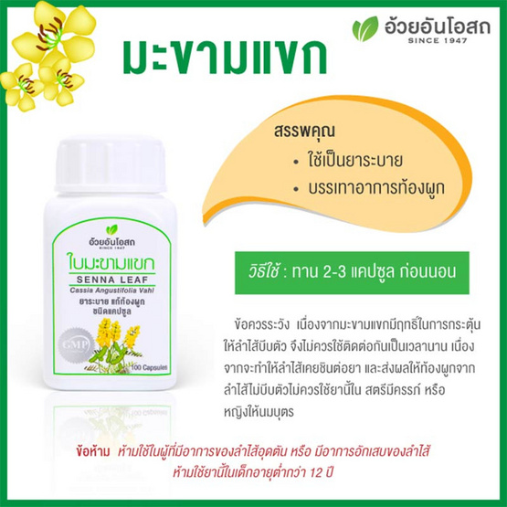 อ้วยอันโอสถ ยาใบมะขามแขกชนิดแคปซูล 100 แคปซูล แพ็ค 3 กระปุก อ้วยอันโอสถ ยาใบมะขามแขกชนิดแคปซูล 100 แคปซูล แพ็ค 3 กระปุก
