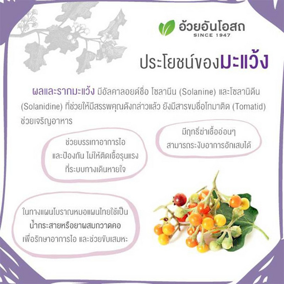 อ้วยอันโอสถ ยาแก้ไอมะแว้ง สูตร sugar free 60 ซีซี 6 ขวด อ้วยอันโอสถ ยาแก้ไอมะแว้ง สูตร sugar free 60 ซีซี 6 ขวด