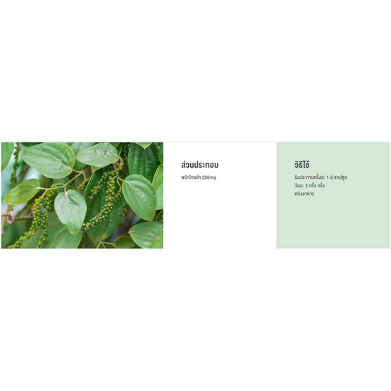 Herbal One ยาขับลมพริกไทยแคปซูล 100 แคปซูล แพ็ค 2 กระปุก Herbal One ยาขับลมพริกไทยแคปซูล 100 แคปซูล แพ็ค 2 กระปุก