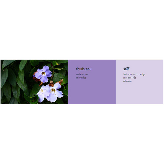 Herbal One ยาแคปซูลผสมรางจืด 100 แคปซูล แพ็ค 2 กระปุก Herbal One ยาแคปซูลผสมรางจืด 100 แคปซูล แพ็ค 2 กระปุก