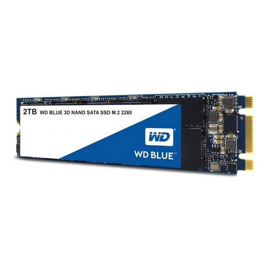 Pole Merchandising mesh WD SSD Blue M.2 2280 SATA 3(6GB/S) 2 TB (WDS200T2B0B) | ShopAt24.com