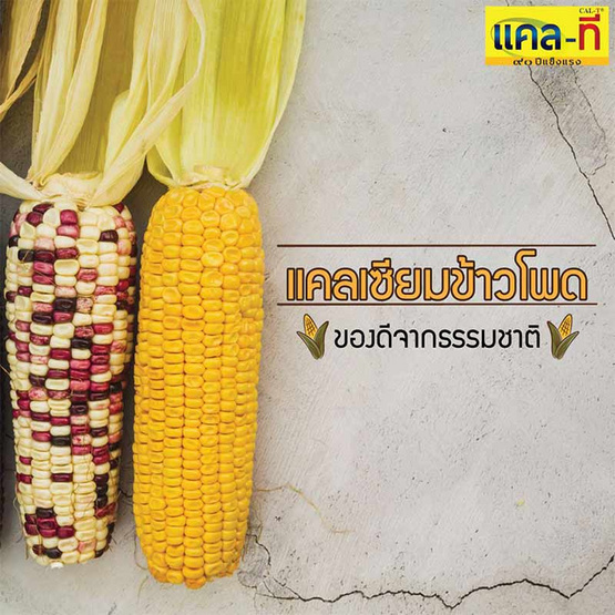 Cal-T แคลเซียม แอล-ทรีโอเนต พลัส แมกนีเซียม จำนวน 2 ขวด ฟรี 1 ขวด (60 แคปซูล/ขวด) Cal-T แคลเซียม แอล-ทรีโอเนต พลัส แมกนีเซียม จำนวน 2 ขวด ฟรี 1 ขวด (60 แคปซูล/ขวด)