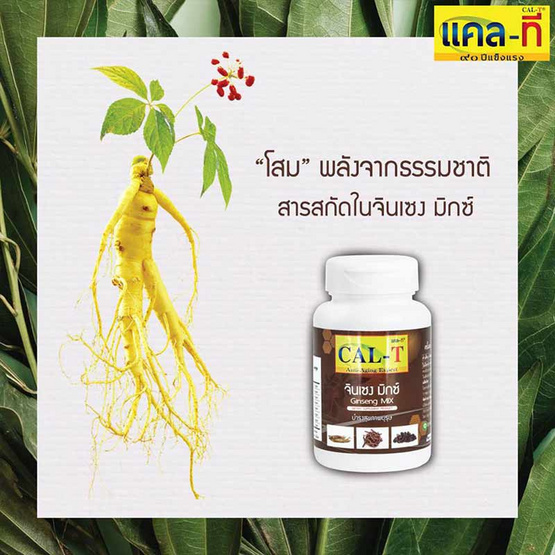 จินเซง มิกซ์ 2 ขวด ฟรี 1 ขวด (30 แคปซูล/ขวด) จินเซง มิกซ์ 2 ขวด ฟรี 1 ขวด (30 แคปซูล/ขวด)