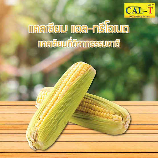 Cal-T ชุดกระดูกแข็งแรง แคลเซียมแอล-ทรีโอเนต & แมกนีเซียม พลัส วิตามินรวม Cal-T ชุดกระดูกแข็งแรง แคลเซียมแอล-ทรีโอเนต & แมกนีเซียม พลัส วิตามินรวม