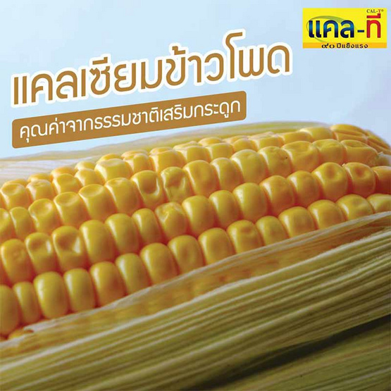 Cal-T ชุดคุณแม่แข็งแรง แคลเซียมแอล-ทรีโอเนต พลัส แมกนีเซียม & ตังกุย มิกซ์ Cal-T ชุดคุณแม่แข็งแรง แคลเซียมแอล-ทรีโอเนต พลัส แมกนีเซียม & ตังกุย มิกซ์