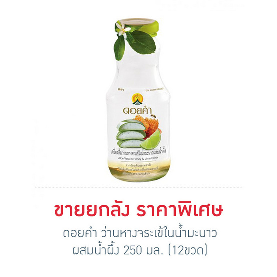 ดอยคำ ว่านหางจระเข้ในน้ำมะนาวผสมน้ำผึ้ง 250 มล. (12 ขวด) ดอยคำ ว่านหางจระเข้ในน้ำมะนาวผสมน้ำผึ้ง 250 มล. (12 ขวด)
