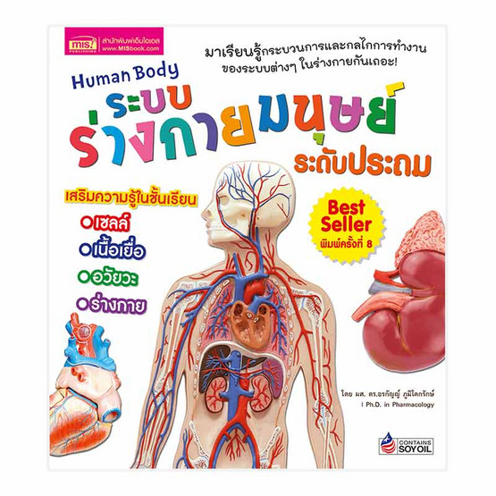 ระบบร่างกายมนุษย์ ระดับประถม Human Body ระบบร่างกายมนุษย์ ระดับประถม Human Body