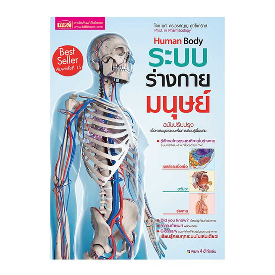 ระบบร่างกายมนุษย์ Human Body ระบบร่างกายมนุษย์ Human Body