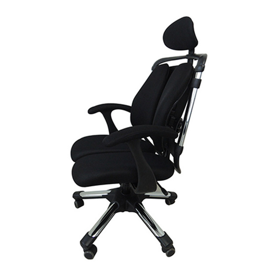 HARA CHAIR เก้าอี้เพื่อสุขภาพ NIETZSCHE-H HARA CHAIR เก้าอี้เพื่อสุขภาพ NIETZSCHE-H