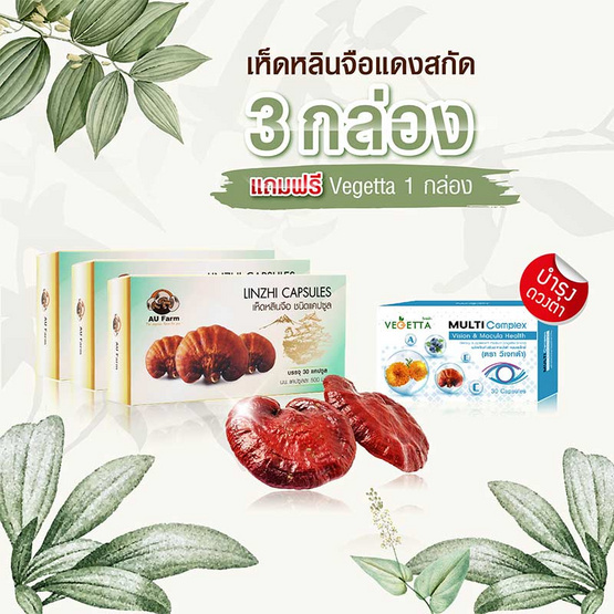 Au Farm เห็ดหลินจือแดง 3 กล่อง แถม วีเจทต้า มัลติ คอมเพล็กซ์ 1 กล่อง Au Farm เห็ดหลินจือแดง 3 กล่อง แถม วีเจทต้า มัลติ คอมเพล็กซ์ 1 กล่อง